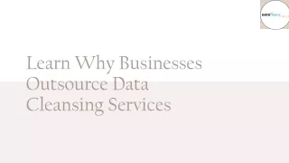 Learn Why Businesses Outsource Data Cleansing Services