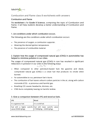 combustion and flame class 8 worksheets with