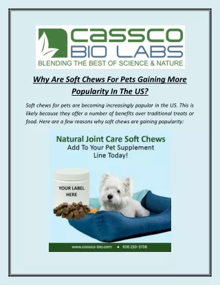 Why Are Soft Chews For Pets Gaining More Popularity In The US?