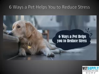 6 ways a pet helps you to reduce stress
