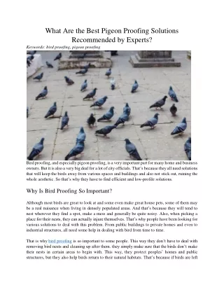 what are the best pigeon proofing solutions