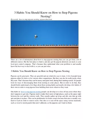 3 habits you should know on how to stop pigeons