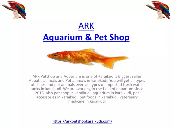 ark aquarium pet shop