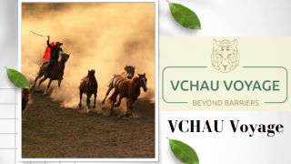 Photography Organizations Vchau Voyage