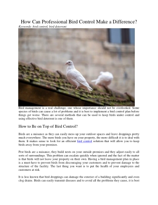 how can professional bird control make