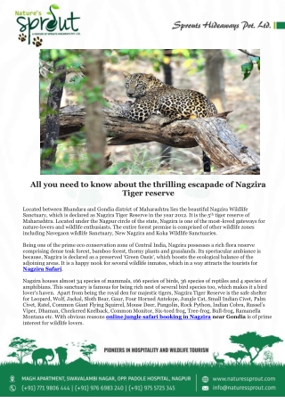 All you need to know about the thrilling escapade of Nagzira Tiger reserve