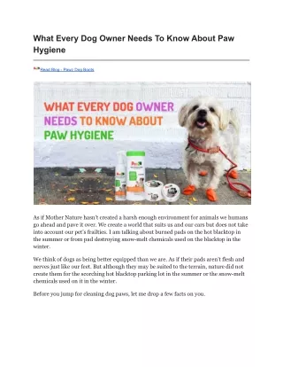 What Every Dog Owner Needs To Know About Paw Hygiene
