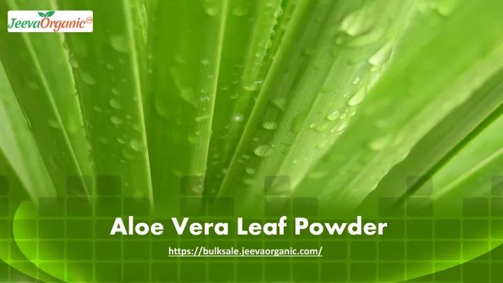 aloe vera leaf powder