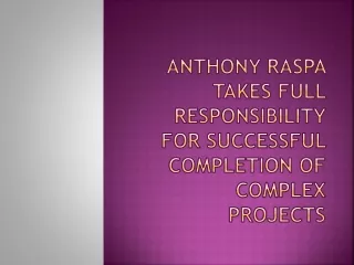 anthony raspa takes full responsibility for successful completion of complex projects