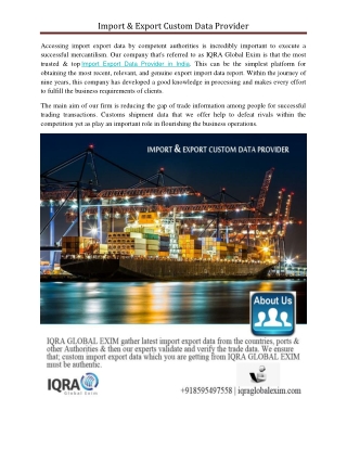 import export custom data provider