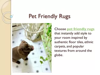 pet friendly rugs