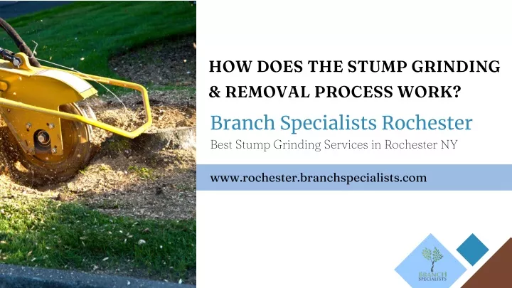 how does the stump grinding removal process work