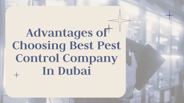 advantages of choosing best pest control company in dubai