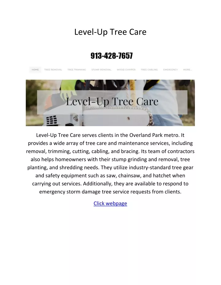 level up tree care