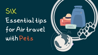 6 Essential Tips for Air Travel With Pets