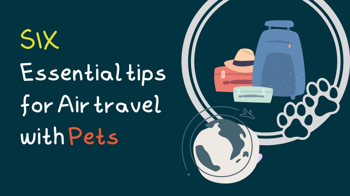 six essential tips for air travel with pets