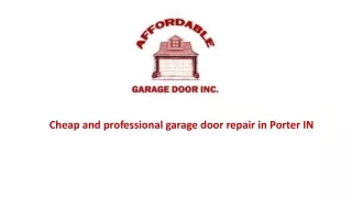 Cheap and professional garage door repair in Porter IN