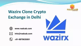 wazirx clone crypto exchange in delhi