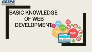 basic knowledge of web development