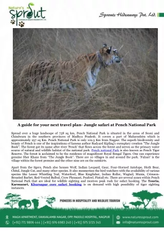 A guide for your next travel plan- Jungle safari at Pench National Park