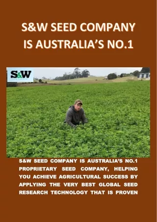 Australian Seed and TurF