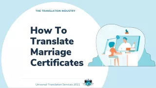 the translation industry