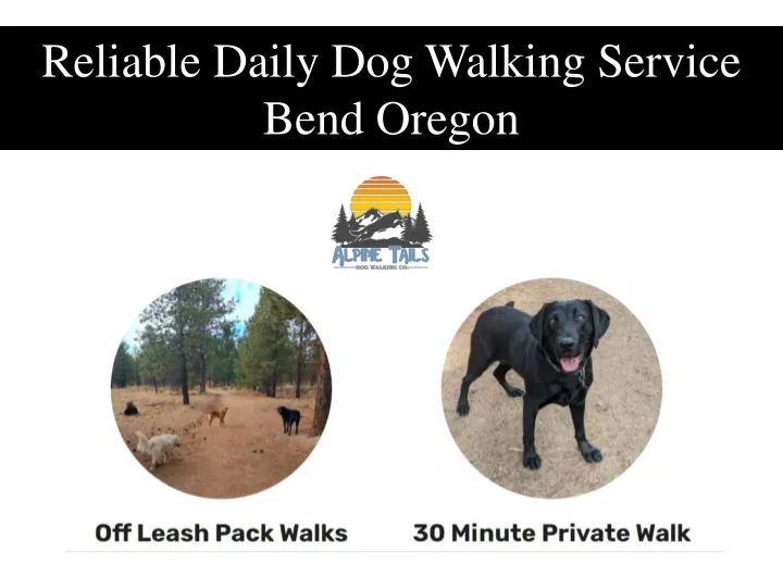 reliable daily dog walking service bend oregon