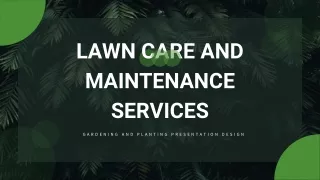Local Lawn Care and Maintenance Services
