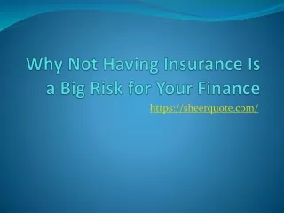 Why Not Having Insurance Is a Big Risk for Your Finance?
