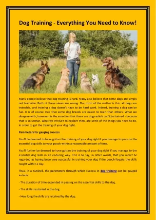 dog training everything you need to know