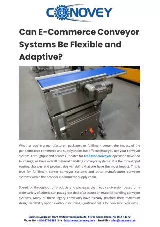 Can E-Commerce Conveyor Systems Be Flexible and Adaptive.docx