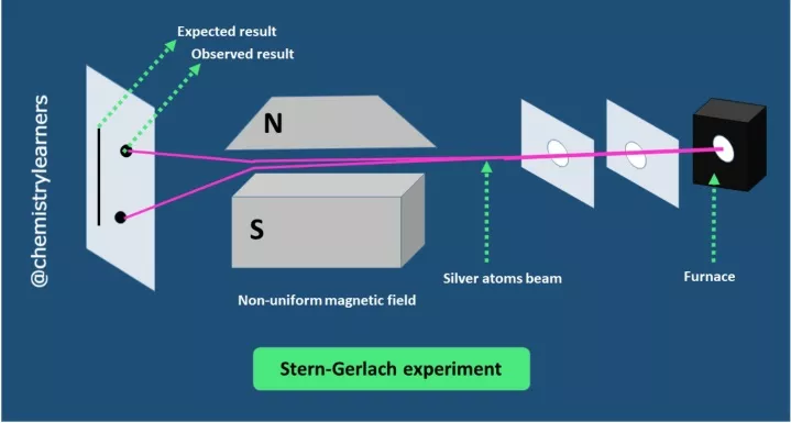 stern tv das live experiment