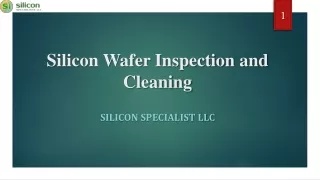 Silicon Wafer Inspection and Cleaning