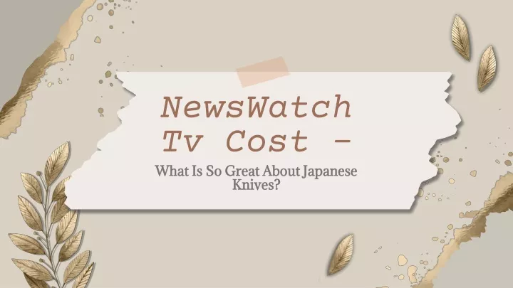 newswatch tv cost