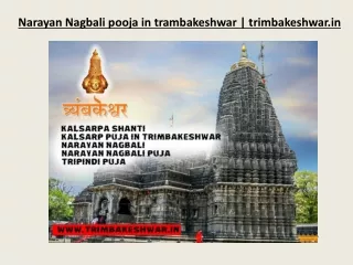 narayan nagbali pooja in trambakeshwar