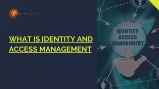 what is identity and access management