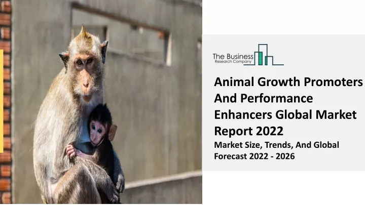 animal growth promoters and performance enhancers