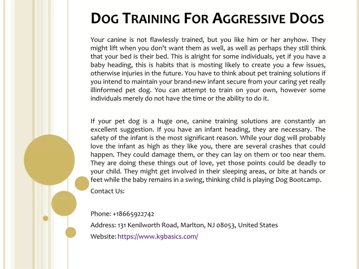 dog training for aggressive dogs