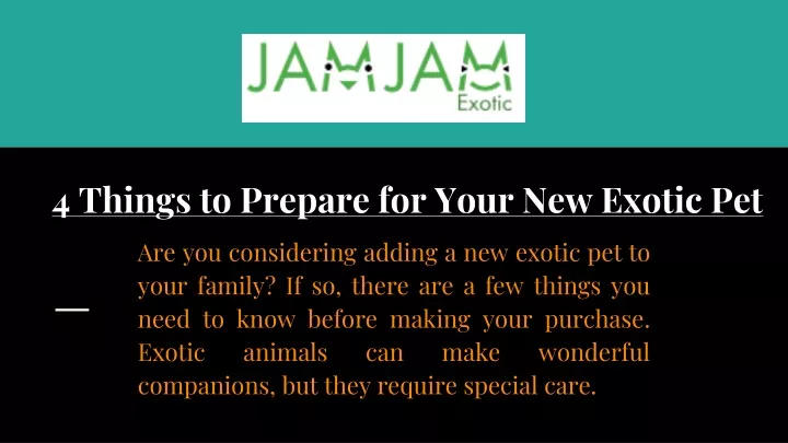 4 things to prepare for your new exotic pet