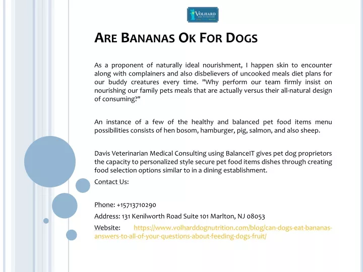 are bananas ok for dogs