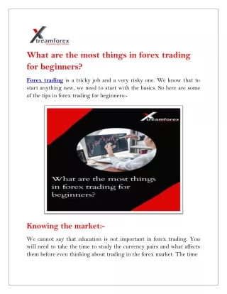 what are the most things in forex trading
