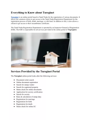 Everything to Know about Tnreginet.docx (1)