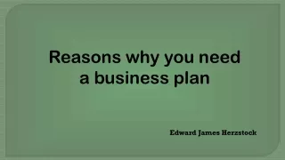 Reasons why you need a business plan- Edward J.Herzstock