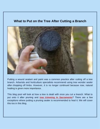 what to put on the tree after cutting a branch