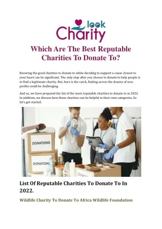 Which Are The Best Reputable Charities To Donate To