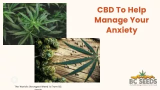 CBD To Help Manage Your Anxiety