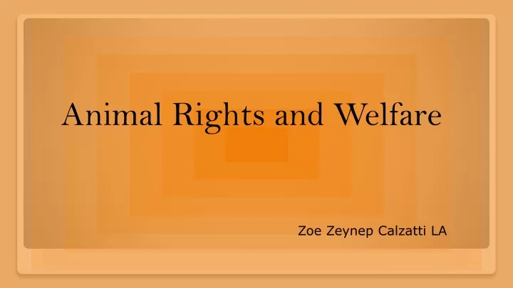 animal rights and welfare