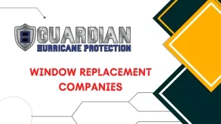 Choose The Best Window Replacement Companies in Naples