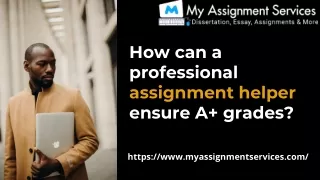 how can a professional assignment helper ensure