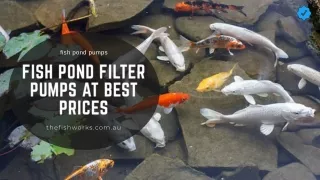 Buy Fish Pond Filter Pumps at affordable price | The Fish Works